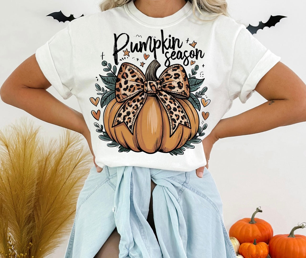 Pumpkin Season Leopard Bow
