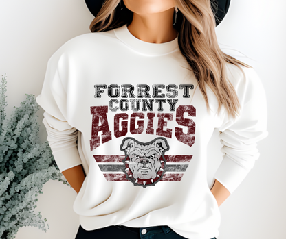 AGGIES Varsity