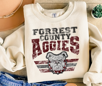 AGGIES Varsity