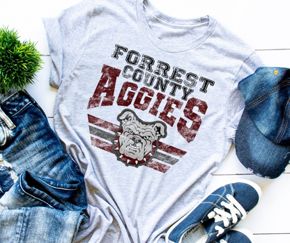 AGGIES Varsity