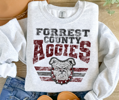 AGGIES Varsity