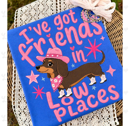 I’ve Got Friends In Low Places