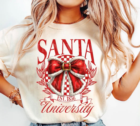 Santa University