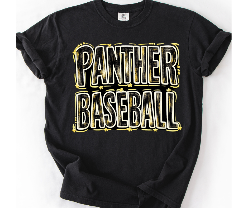 Panthers Baseball Painted