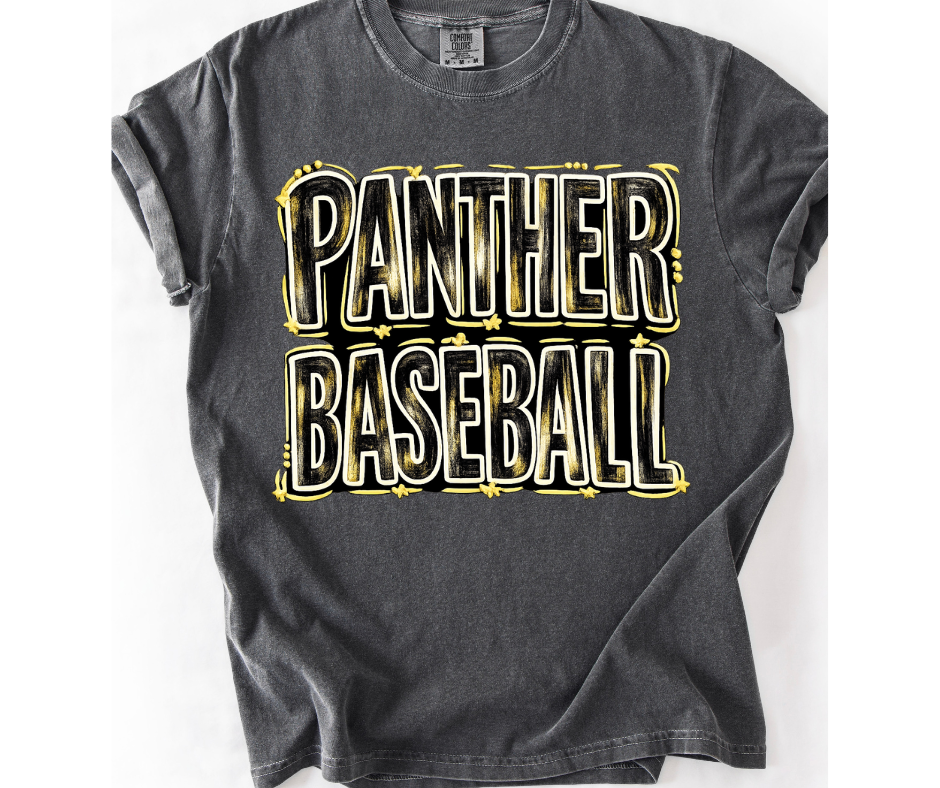 Panthers Baseball Painted