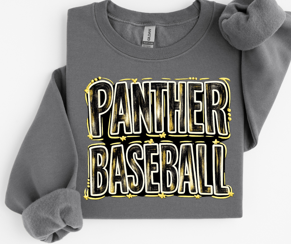 Panthers Baseball Painted