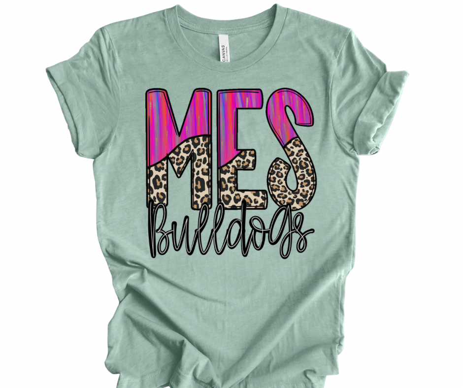 Moselle Elementary - Painted Leopard