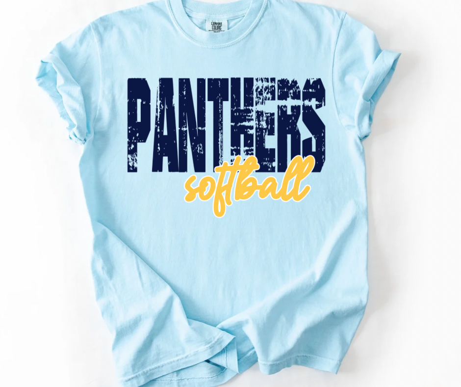 Panthers Softball
