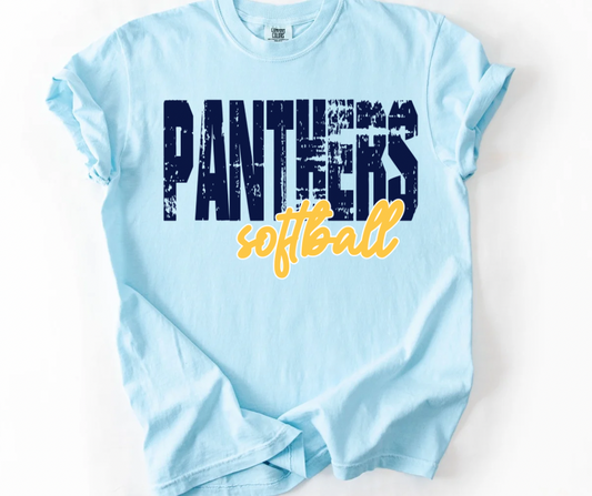 Panthers Softball